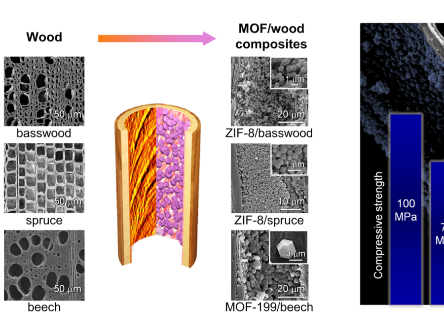 Link to Website of Wood Materials Science Professorship